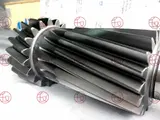 ZF 1297 303 144 photo 5