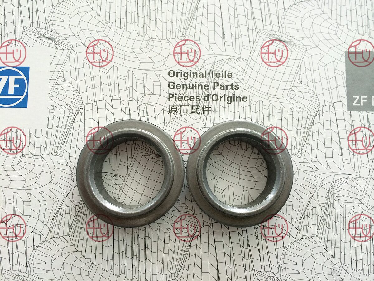 ZF 6060 306 087 photo 2