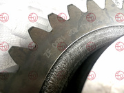 ZF 0091 303 175