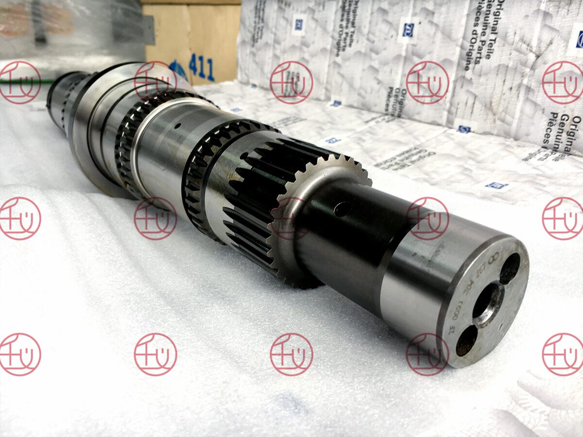 ZF 0091 304 267 photo 3