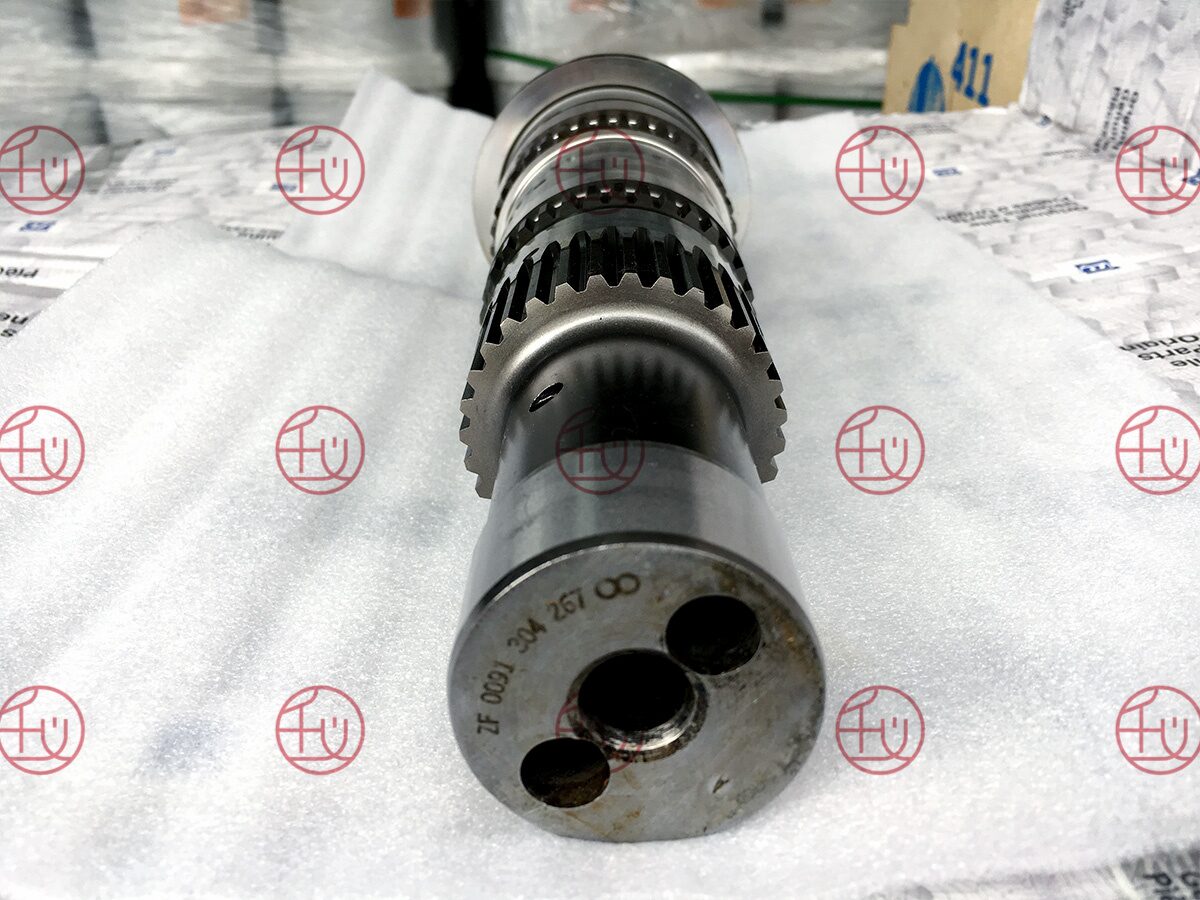 ZF 0091 304 267 photo 4