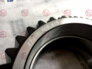 ZF 0091 304 315