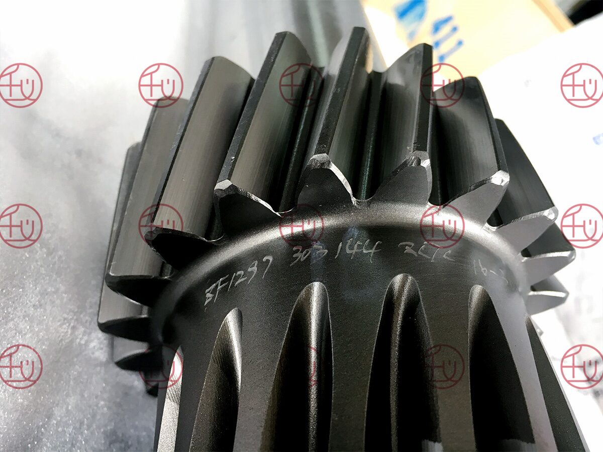 ZF 1297 303 144 photo 6