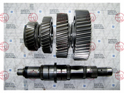 ZF Gear set