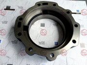 ZF 1296 301 067